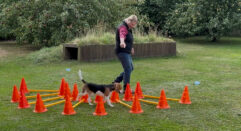 Hund- Få en stærk krop - Begynder Formiddag